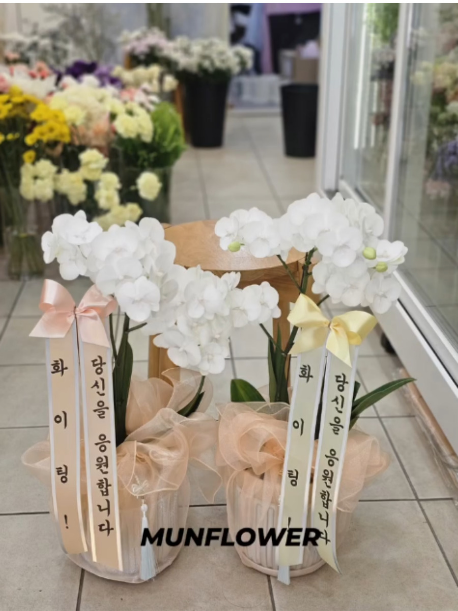 화분